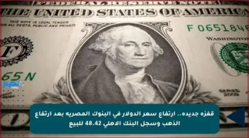 قفزة جديدة.. ارتفاع سعر الدولار في البنوك المصرية بعد ارتفاع الذهب وسجل البنك الأهلي 48.42 للبيع